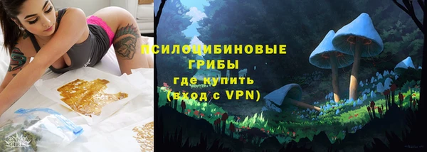 spice Медвежьегорск
