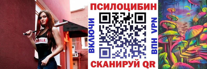 дарнет шоп  Шимановск  Галлюциногенные грибы Psilocybe 
